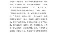 关于成功的作文开头