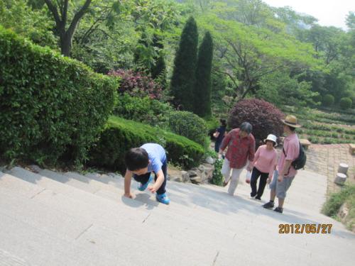 第一次攀登组成