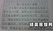 昆虫记读后感5篇