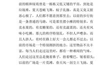 描写家乡变化的作文