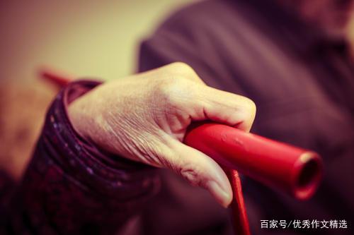 奶奶的手作文350字