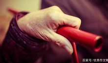 奶奶的手作文350字