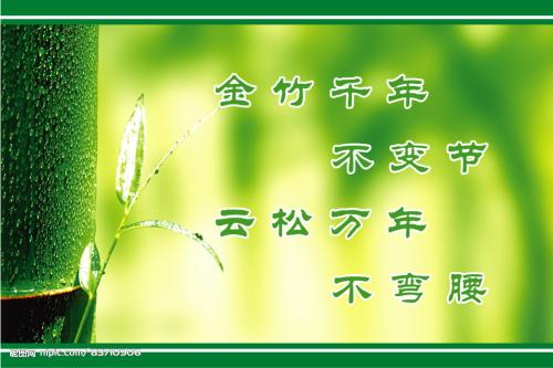 读《创造自己》后的感想