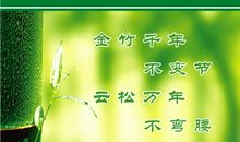 《创造自我》读后感