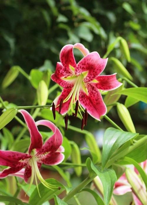 人生情感经典句