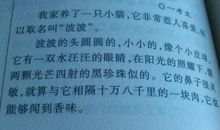 我的宠物狗作文300字