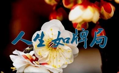 生活中无处不在的景观构图