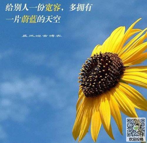 我理解400字的容忍度