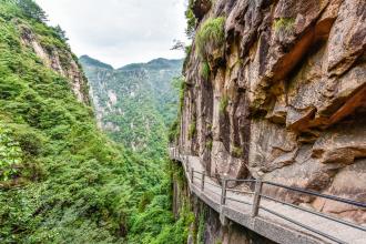 良好的景观构图400字