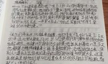 光阴的图案读后感