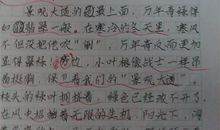 我的小伙伴作文300字