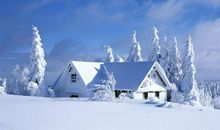 家乡的冬天作文500字