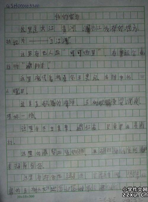 我的家乡二年级日记