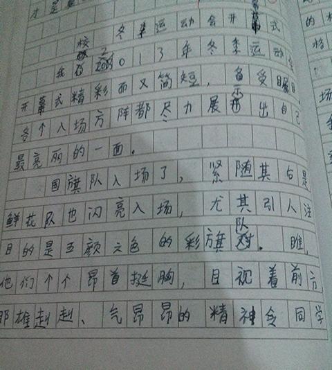 小学运动会的组成