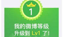 随遇而安的读后感