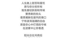 阳光总在风雨后作文