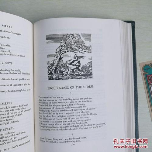 关于阅读《草叶集》的思考