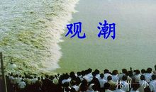 观潮读后感