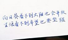 关于青春经典语句