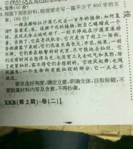 我成功写了1000个字