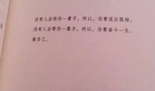 顾城诗集读后感