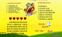 关爱生命读后感