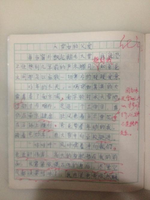 父亲的爱情作文