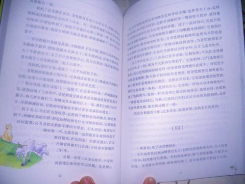 对沉世熙作品的思考