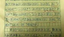 家乡的风味小吃作文