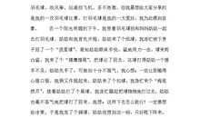 一件感动的事作文500字