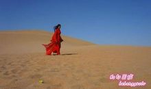 沙漠中的饭店读后感