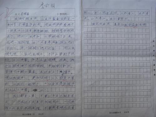 关于实验的组成