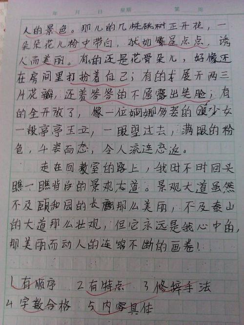 故乡美丽的构图