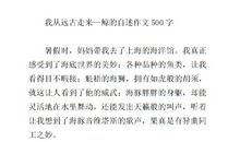 鲸的自述作文200字