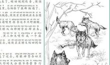 狼国女王读后感