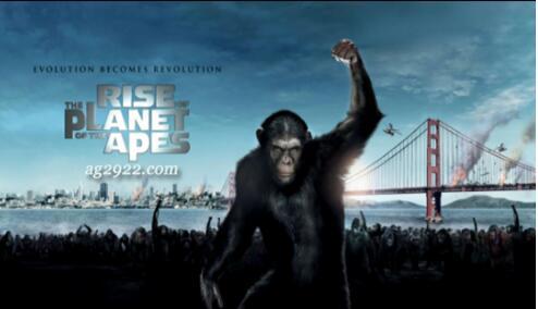 猿的崛起