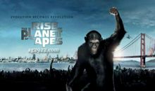 猿猴崛起读后感