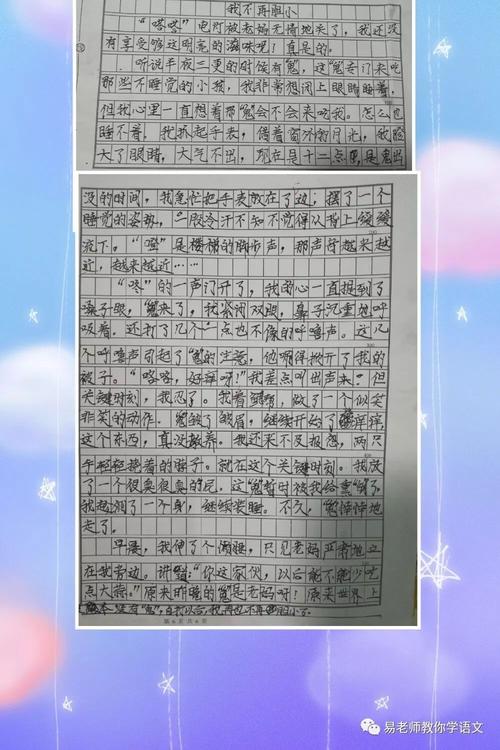 我不会因为写作而退缩