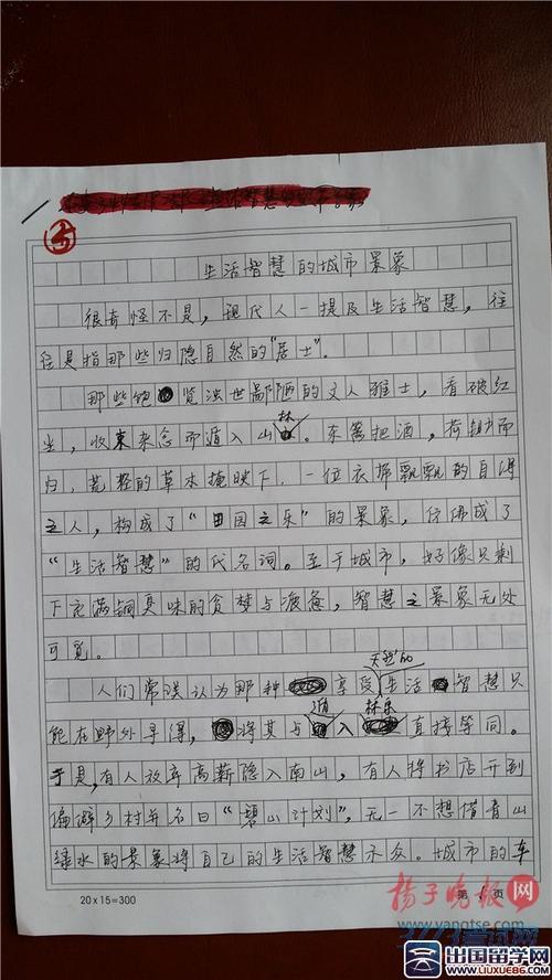 2014年高考全场作文江苏试卷：一件事可以疯狂又年轻