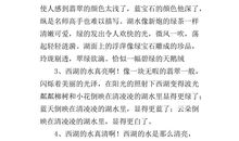 圣诞联欢会作文400字