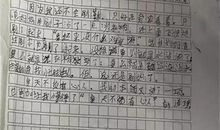 描写哥哥的作文