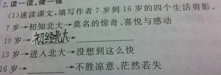 看了十三岁的运势之后