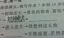 十三岁的际遇读后感