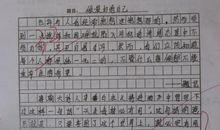 关于成功的作文