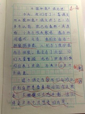 看完蜘蛛的故事