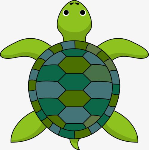 组成可爱的小乌龟