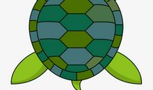 作文可爱的小乌龟