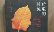 质数的孤独读后感