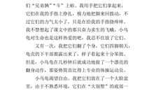 生命的永恒作文