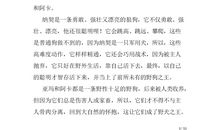 孤岛野犬读后感